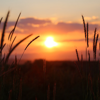 Kjetil Jakob Jordbru