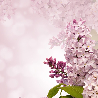 Marie Kristine Haugen